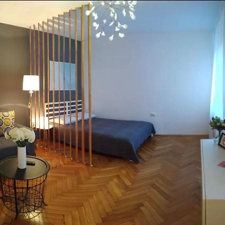 Art & Design Apt - City Center 蒂米什瓦拉 外观 照片