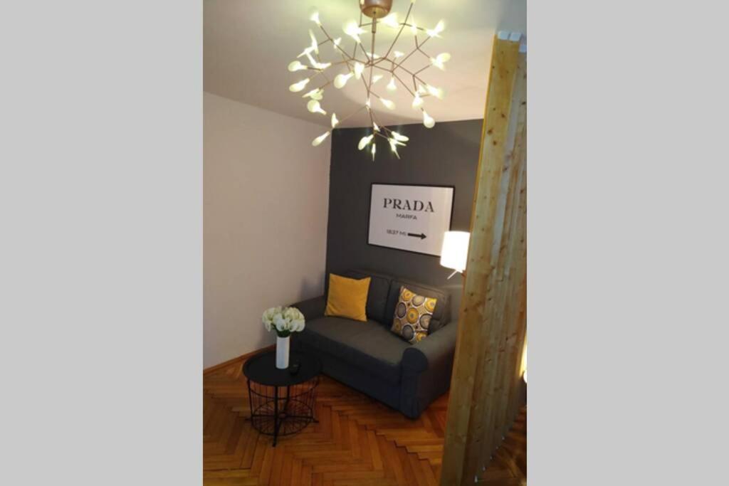 Art & Design Apt - City Center 蒂米什瓦拉 外观 照片